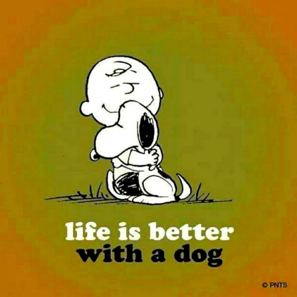 ♥️🐾 - Picture 2 of 3